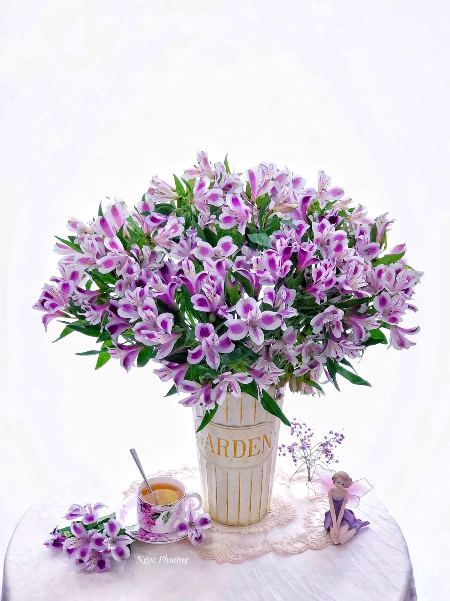 Tử vi ngày 19/10/2022 của 12 cung hoàng đạo